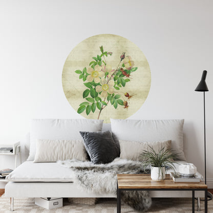 Circular Mural Vintage Botanicals Ii