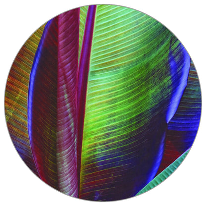 Circular Mural Banana Leaf By François Casanova