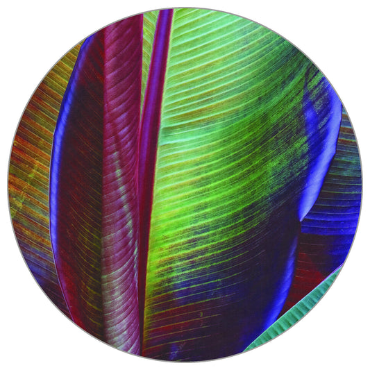 Circular Mural Banana Leaf By François Casanova