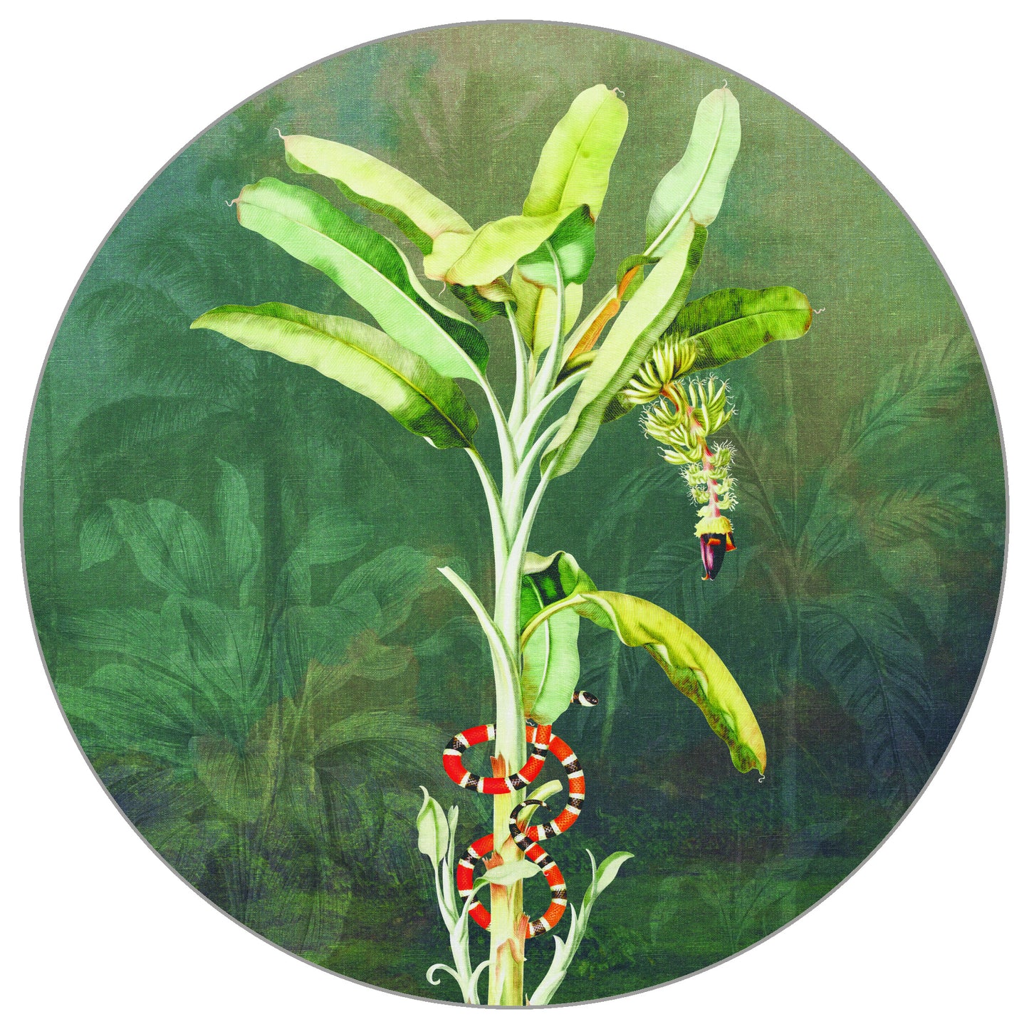 Circular Mural Tropical Depths Ii