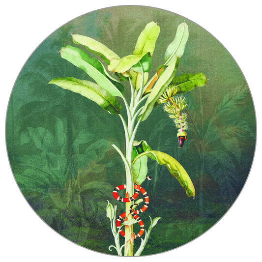 Circular Mural Tropical Depths Ii