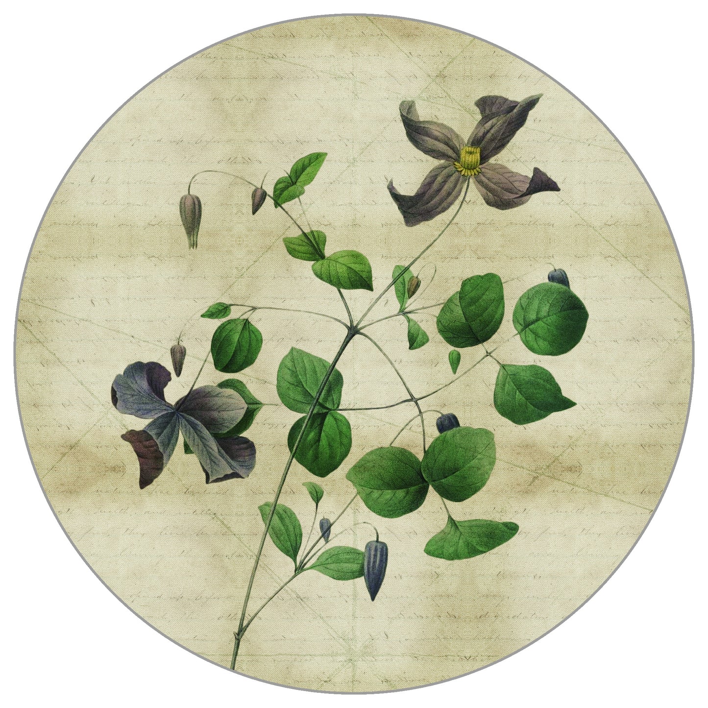 Circular Mural Vintage Botanicals Iii