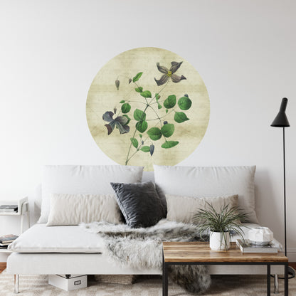 Circular Mural Vintage Botanicals Iii