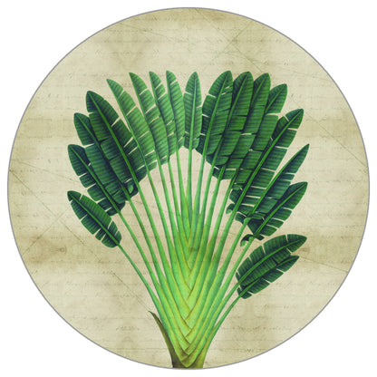 Circular Mural Tropical Botanicals Ii