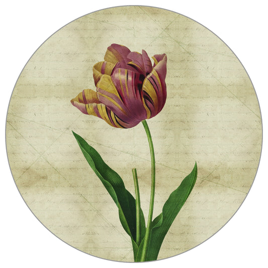 Circular Mural Vintage Botanicals Iv