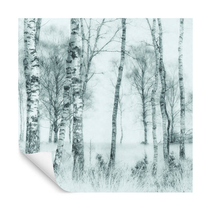 Square Wallmural Black And White By Nel Talen