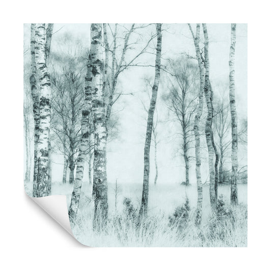 Square Wallmural Black And White By Nel Talen