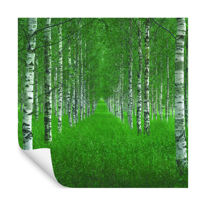 Square Wallmural The Tunnel By Christian Lindsten