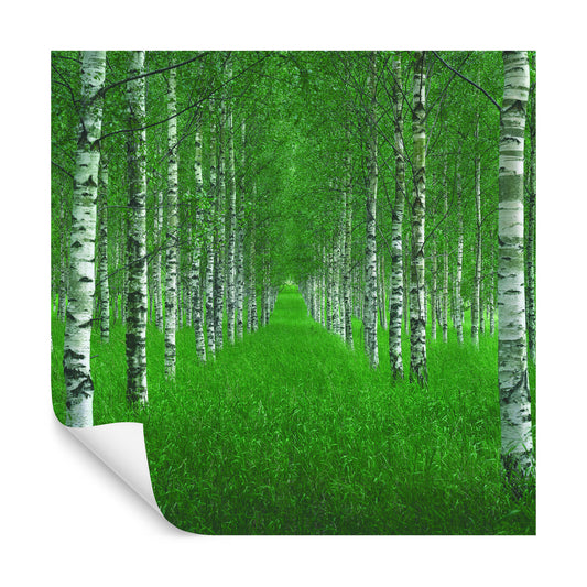 Square Wallmural The Tunnel By Christian Lindsten