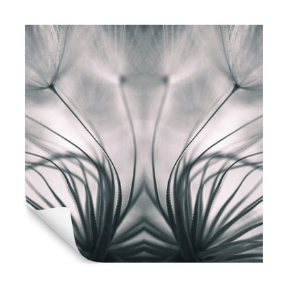 Square Wallmural Dandelion By Keren Or