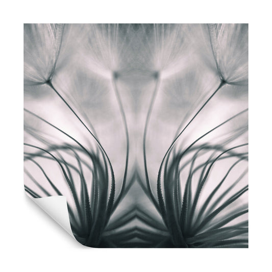 Square Wallmural Dandelion By Keren Or