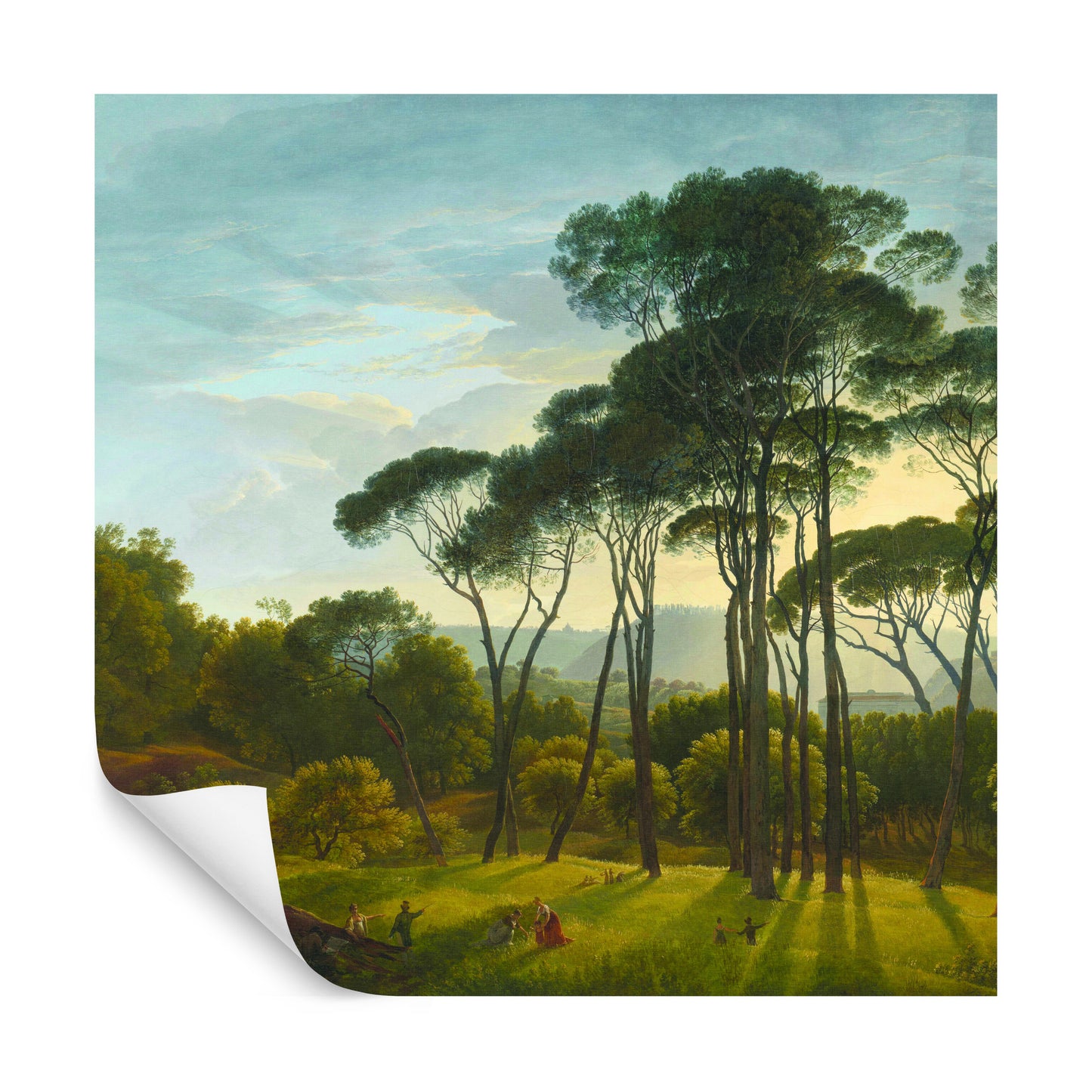 Square Wallmural Italian Landscape With Umbrella Pines