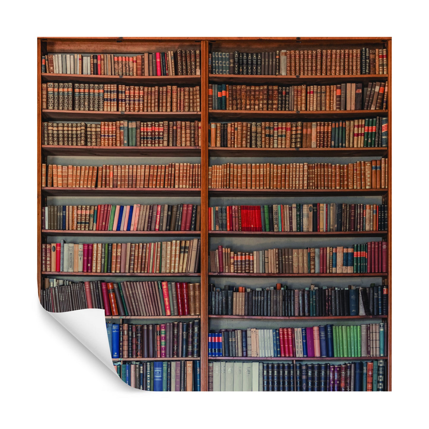 Square Wallmural My Library By Miroslaw