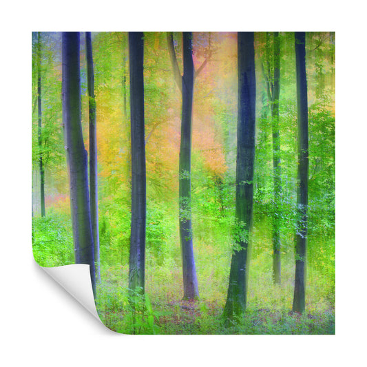 Square Wallmural Dreamy By Jochen Burger