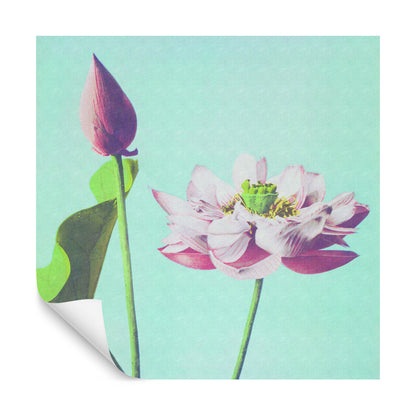 Square Wallmural Kazumasa Lotus