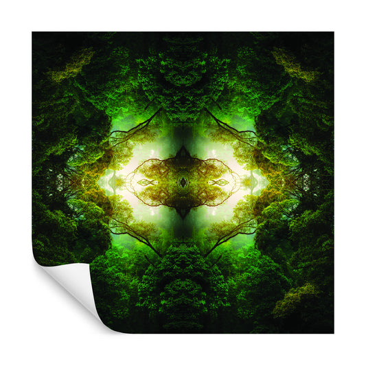 Square Wallmural Forest Depths