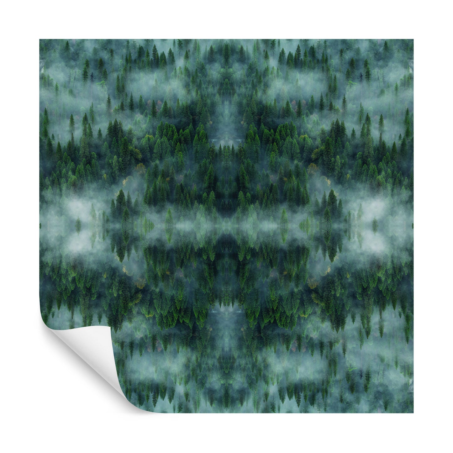 Square Wallmural Forestscape