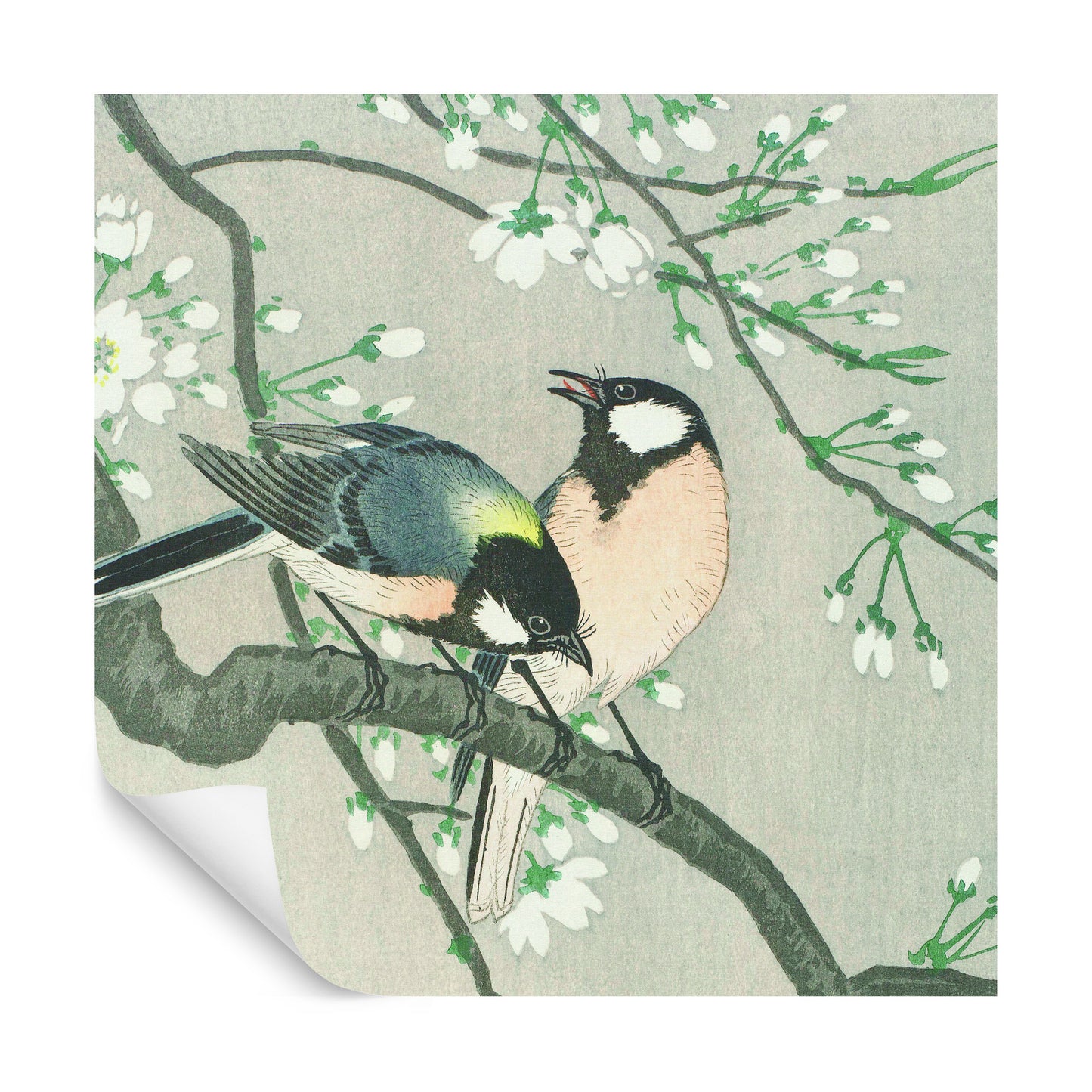 Square Wallmural Silk Birds