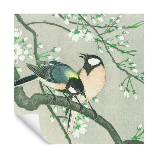 Square Wallmural Silk Birds