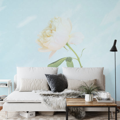 Square Wallmural Pastel Rose