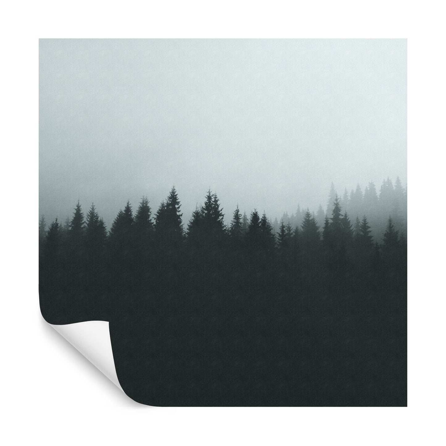 Square Wallmural Ombregraphic Forest Noir