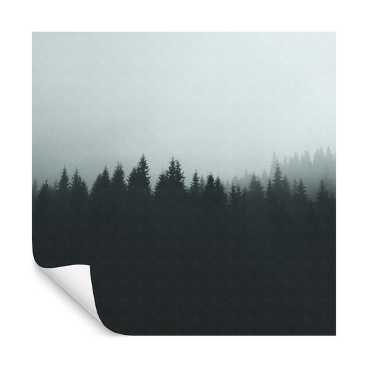 Square Wallmural Ombregraphic Forest Noir