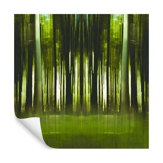 Square Wallmural Forestiel