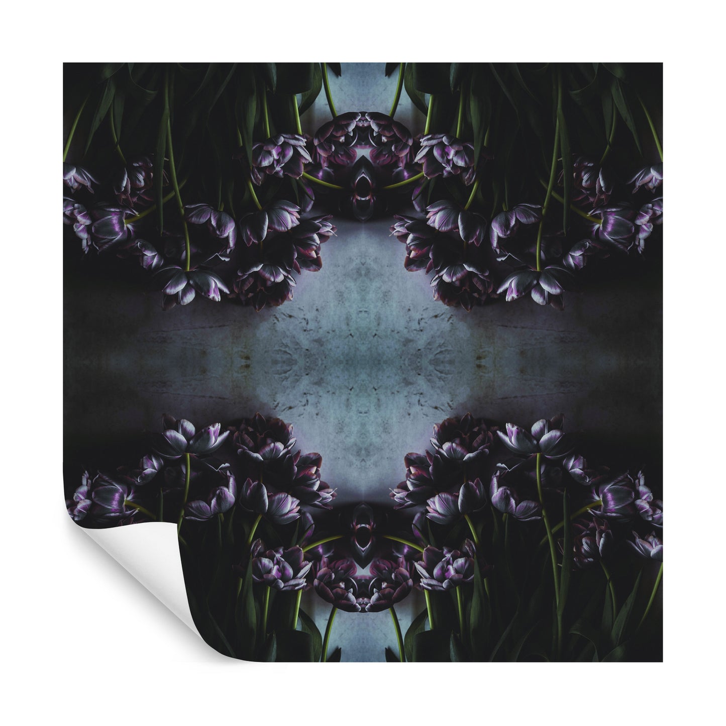 Square Wallmural Tulip Noir