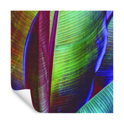 Square Wallmural Banana Leaf By François Casanova