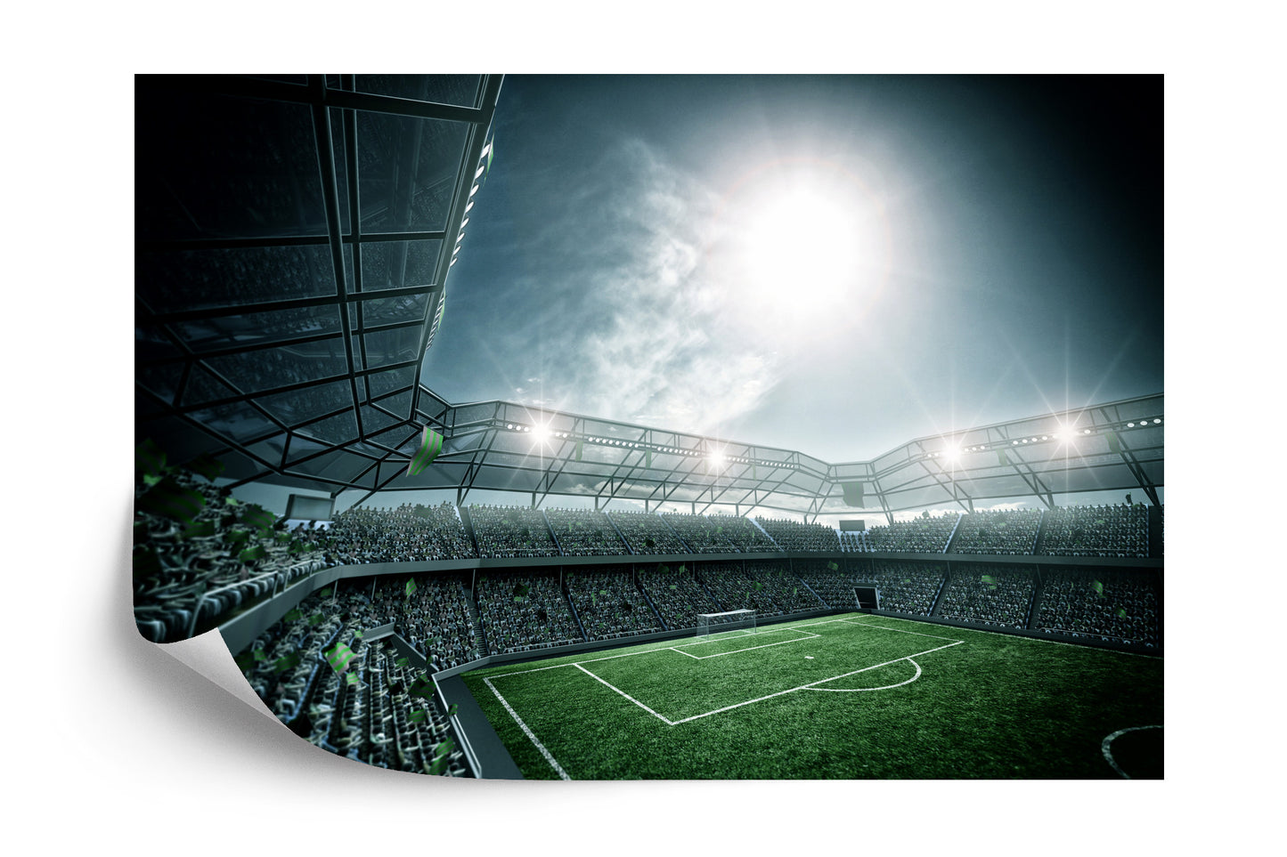 Photomural Football Stadium
