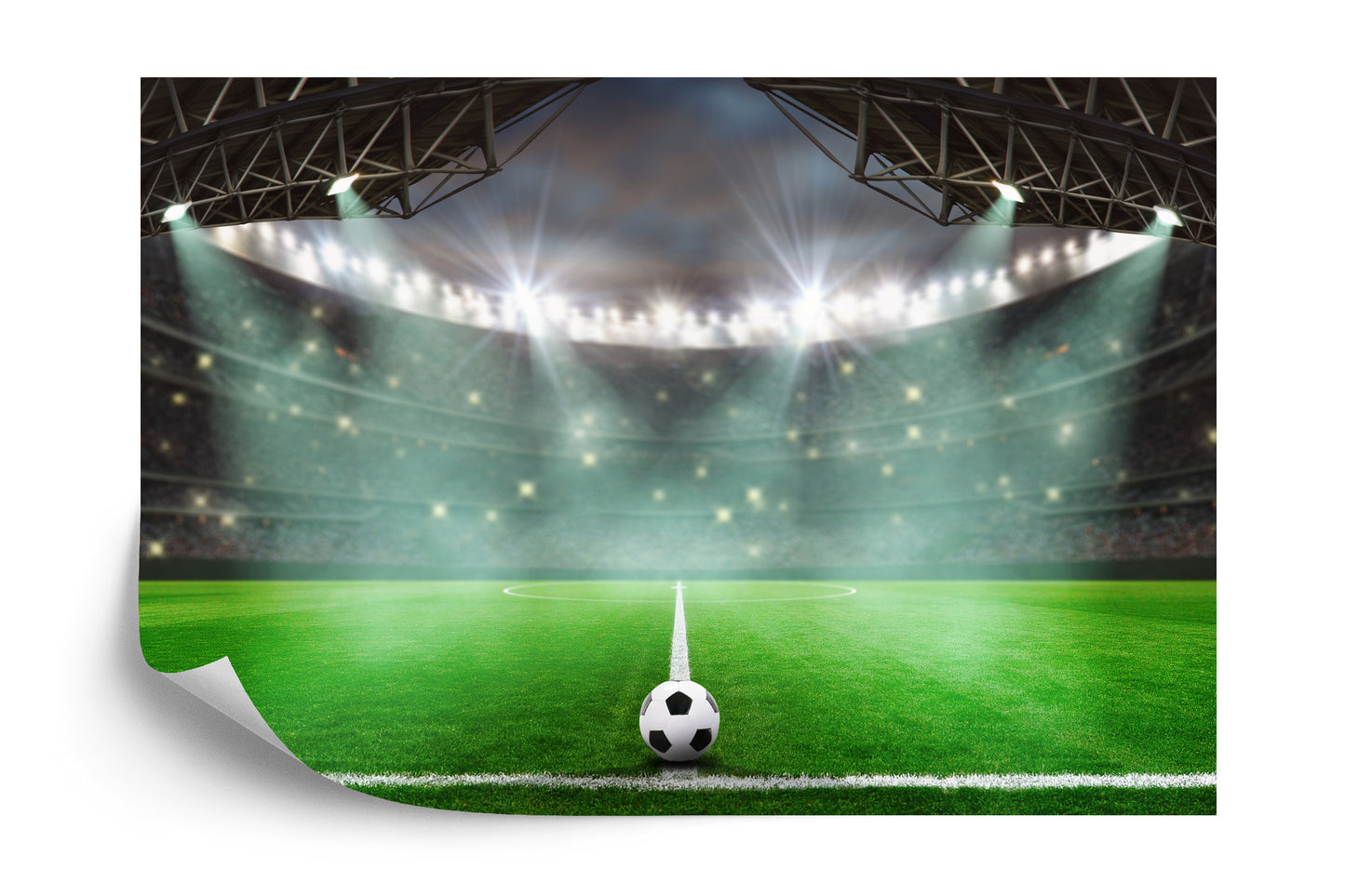 Photomural Soccer Stadium