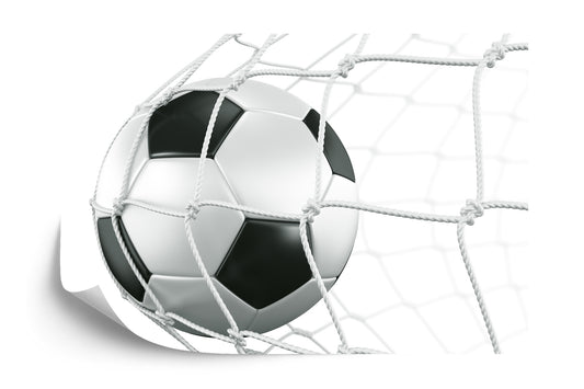 Photomural 3D Soccer Ball In The Net