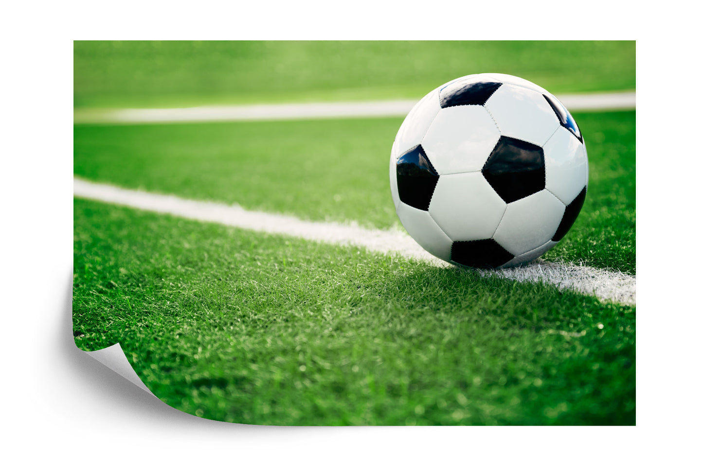 Photomural Soccer Ball On The Line