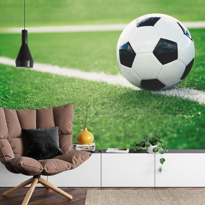 Photomural Soccer Ball On The Line