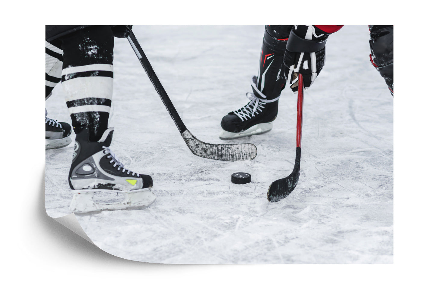 Photomural Hockey Match
