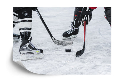 Photomural Hockey Match