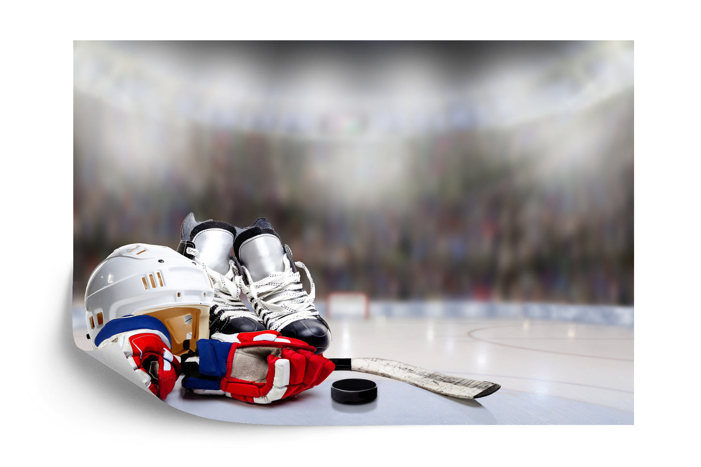 Photomural Hockey Player Set
