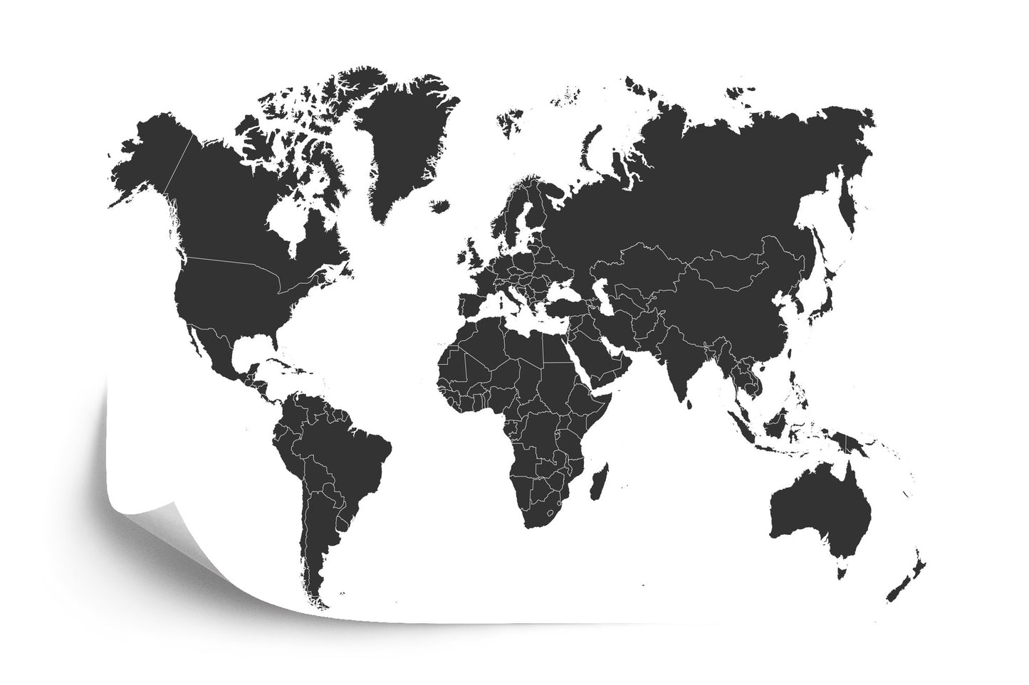 Photomural World Map