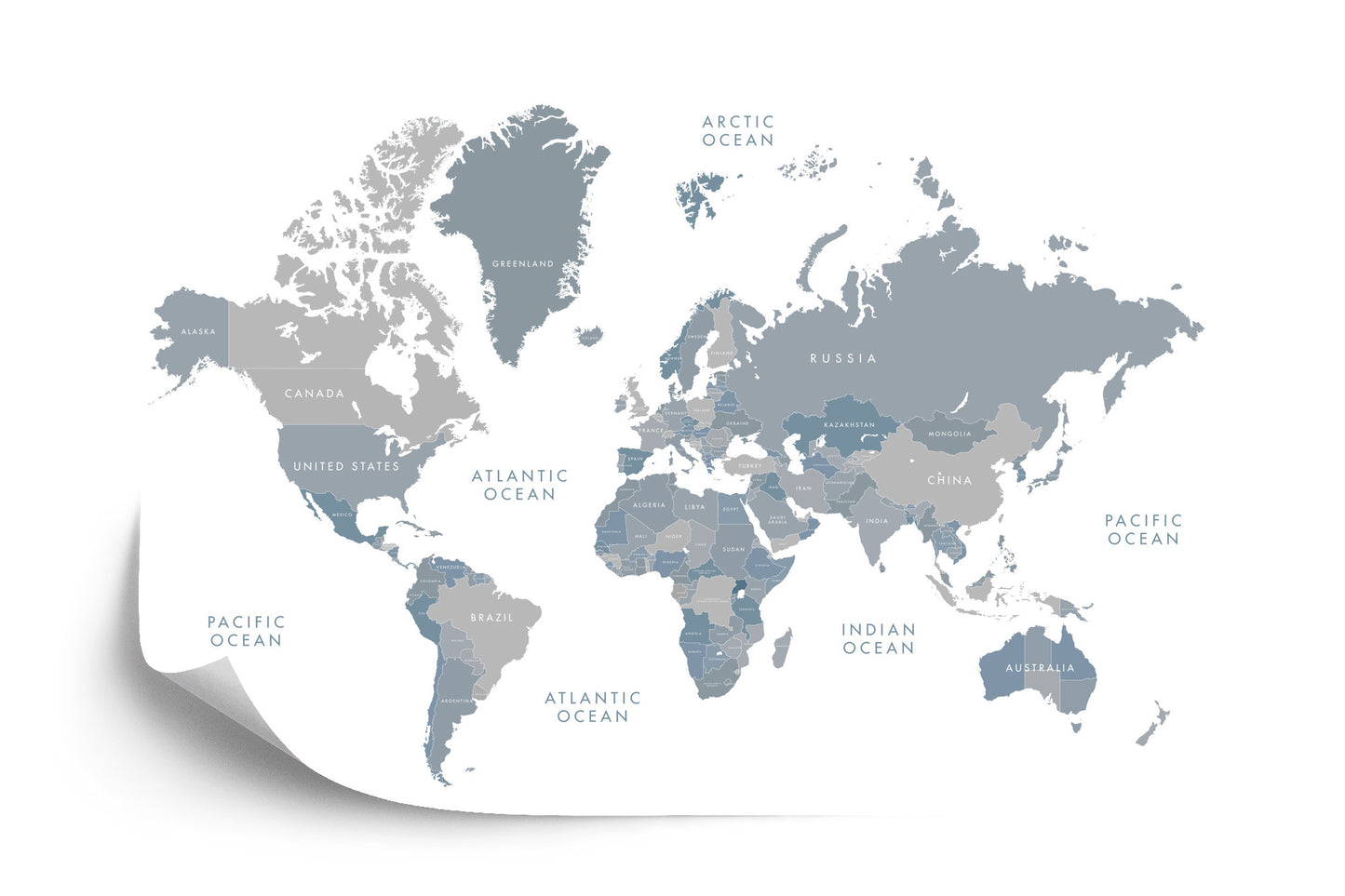 Photomural World Map