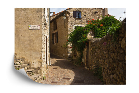 Photomural Alley Transition