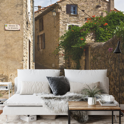 Photomural Alley Transition