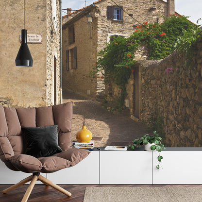 Photomural Alley Transition