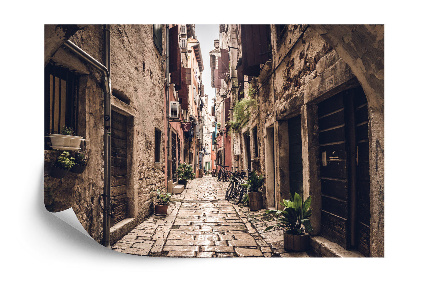 Photomural Alley Transition