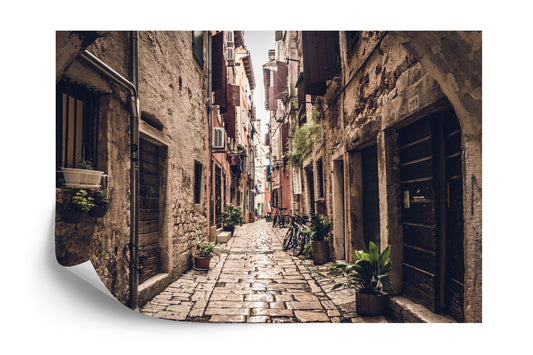 Photomural Alley Transition