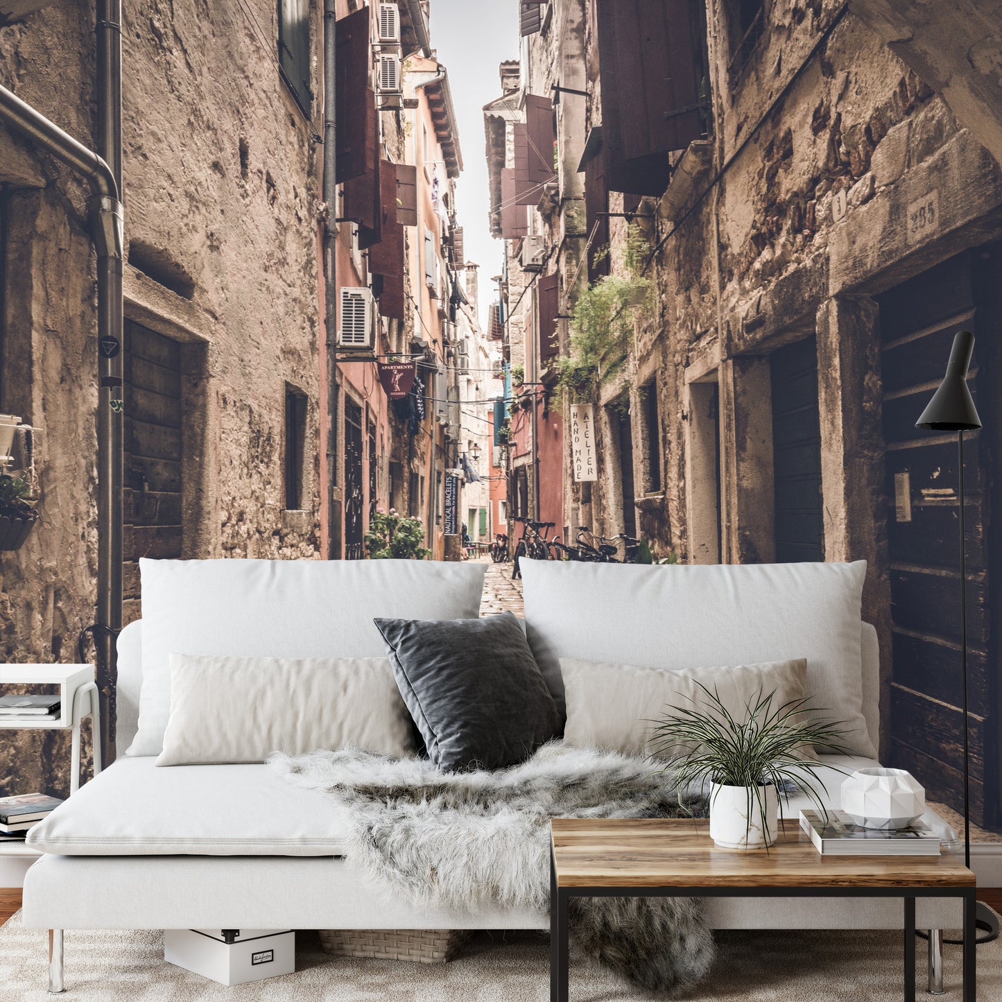 Photomural Alley Transition