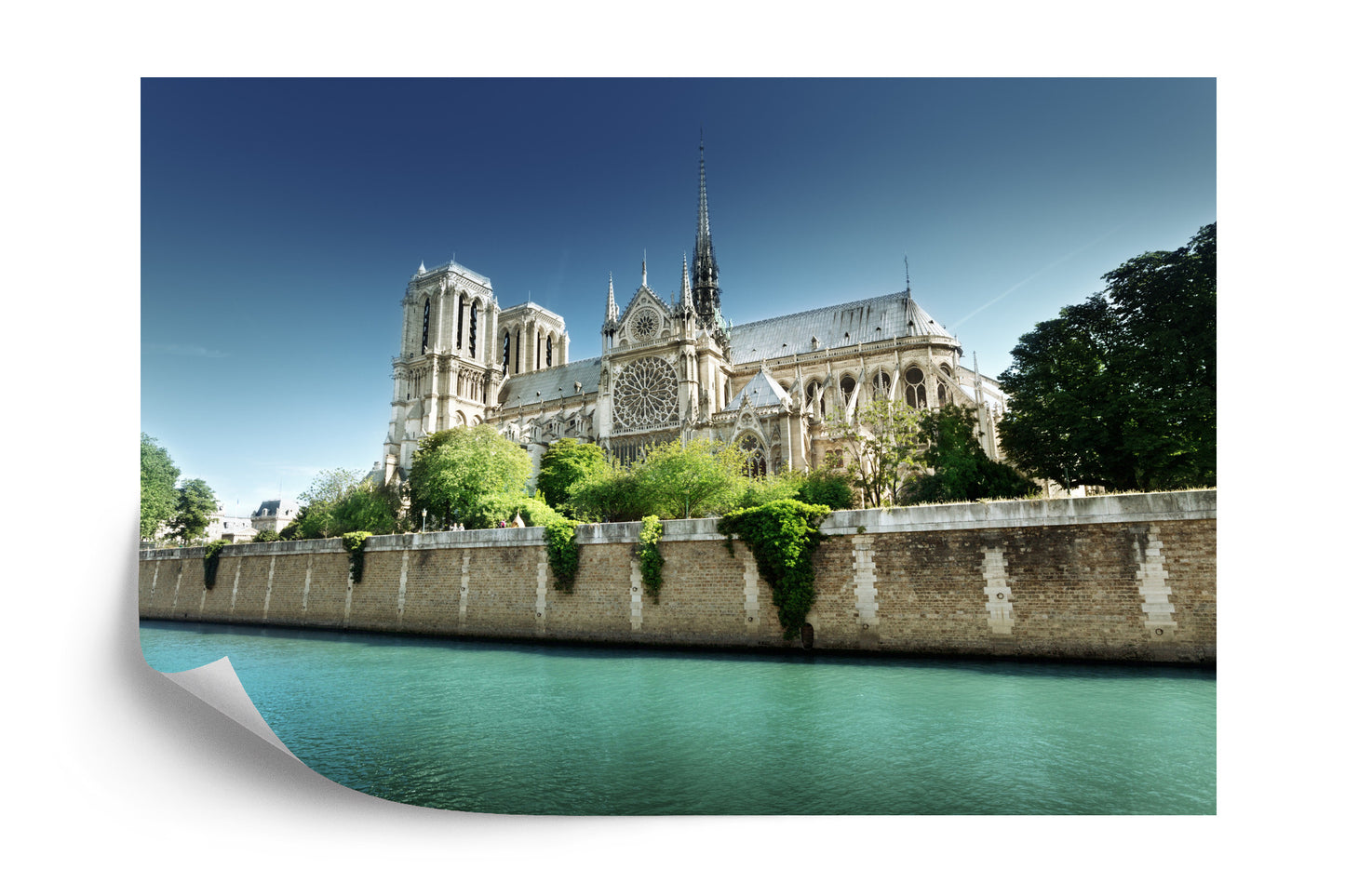 Photomural Paris - Notre-Dame