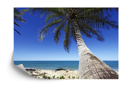 Photomural Beach Ocean Palm Trees