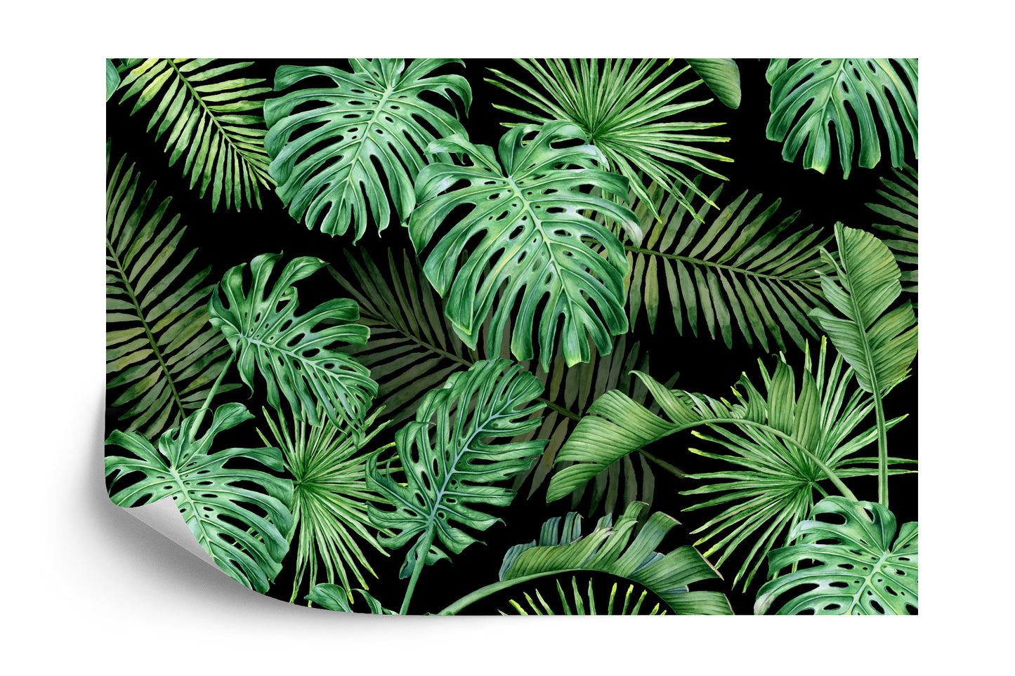 Photomural Monstera Leaves