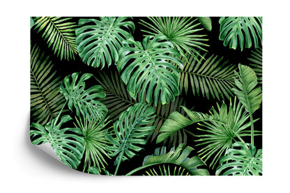 Photomural Monstera Leaves