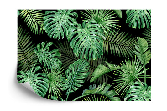 Photomural Monstera Leaves